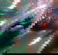 Private Manatee Tour - Accommodation Michigan