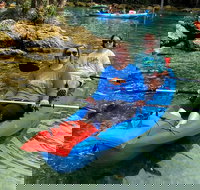 Full Day Tandem Kayak Rental For Two People In Crystal River Florida - Accommodation Michigan