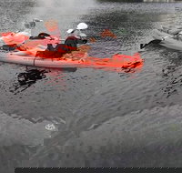 4 Hour Single Kayak Rental In Crystal River Florida - Accommodation Michigan