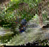 Clear Kayak Tours on Chassahowitzka River - Accommodation Michigan