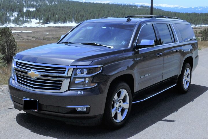 Tampa Airport (TPA) To Lakeland / Winter Haven - Arrival Private Transfer - thumb 3