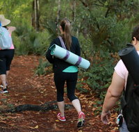 Guided Hike and Yoga Adventure in Fox Lake Park - Accommodation Michigan