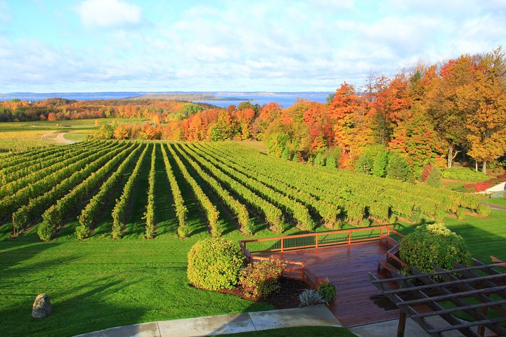 Private - Traverse City Winery OR Brewery Tour: Locations - Group's Choice - thumb 4