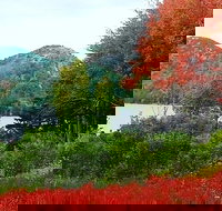 Narrated Bus Tour of Bar Harbor and Acadia National Park Classic - 2.5 Hours - Accommodation Michigan