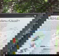 Premium Narrated Bus Tour of Bar Harbor and Acadia National Park 3.5 Hours - Accommodation Michigan