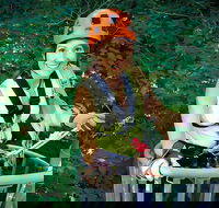 Fully Guided Zipline Canopy Tour through Kentucky River Palisades - Accommodation Michigan