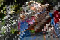 Idlewild La Accommodation Michigan