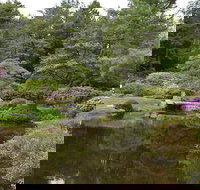 Acadia National Park private group tour- 4 Hours Local Guides - Accommodation Michigan