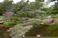 York Me Accommodation Michigan