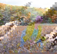 Guided Foraging - Mushroom Hunting Experiences - Accommodation Michigan