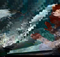 SEA LIFE Michigan Aquarium Admission Ticket - Accommodation Michigan