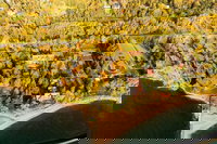 Young America Mn Accommodation Michigan