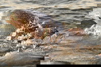  Accommodation Michigan