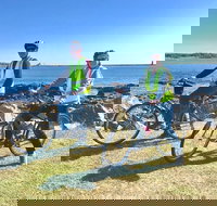 3.5hrs Coastal Tour Visit the Coastline Tucked Away Seaside Villages Mansions - Accommodation Michigan