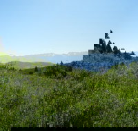 Hike to Chimney Rock with an Enthusiastic Tour Guide - Accommodation Michigan