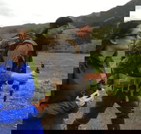 Sundowner Grizzly Excursion Tour - Accommodation Michigan