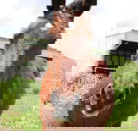 Keep Calm and Brush On - Accommodation Michigan