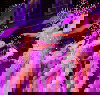 Branson's Christmas Wonderland - Accommodation Michigan