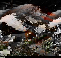 Branson Dinosaur Museum Admission Ticket - Accommodation Michigan