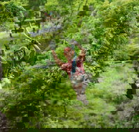 Zipline Canopy Tour in Branson - Accommodation Michigan