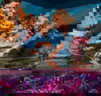 SEA LIFE New Jersey at American Dream - Accommodation Michigan