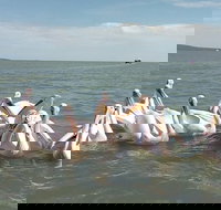 Full Bahir Dar Tour Lake Tana Monasteries and Blue Nile Fall - Accommodation Michigan