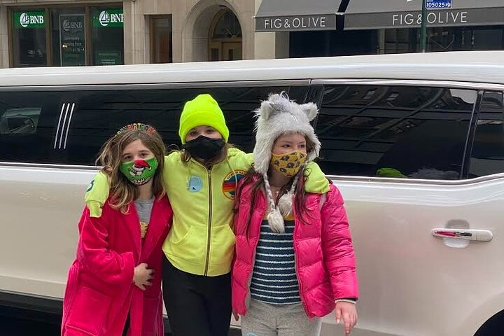 NYC Christmas Lights LIMOUSINE Tour - Dyker Heights In Brooklyn - thumb 4