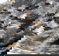 Guided Kayak Tour on Niagara River from the US Side - Accommodation Michigan