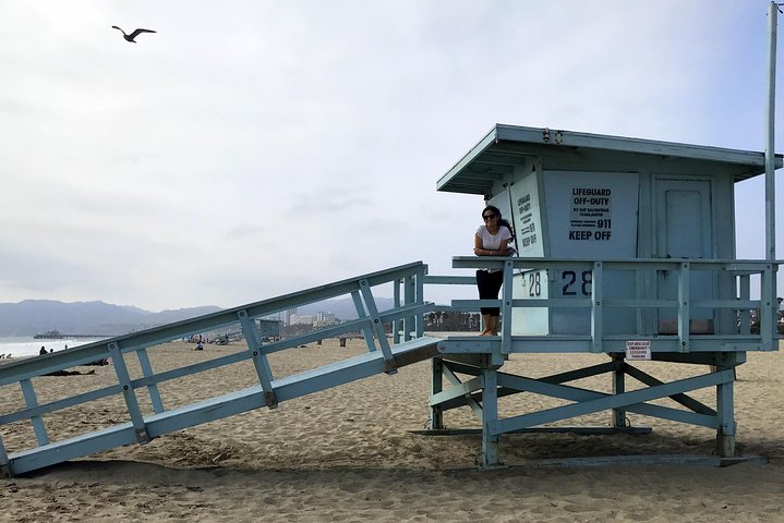 Private Electric Bike Tour Of Santa Monica And Venice Beaches - thumb 0