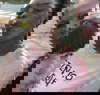 Scavenger Hunt Adventure in Pittsburgh by Crazy Dash - Accommodation Michigan