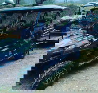 Premier Powersport Dealer Sales Service  UTV Rentals - Accommodation Michigan