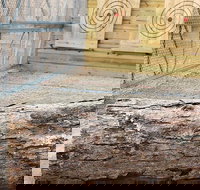 Axe Throwing Training - Accommodation Michigan