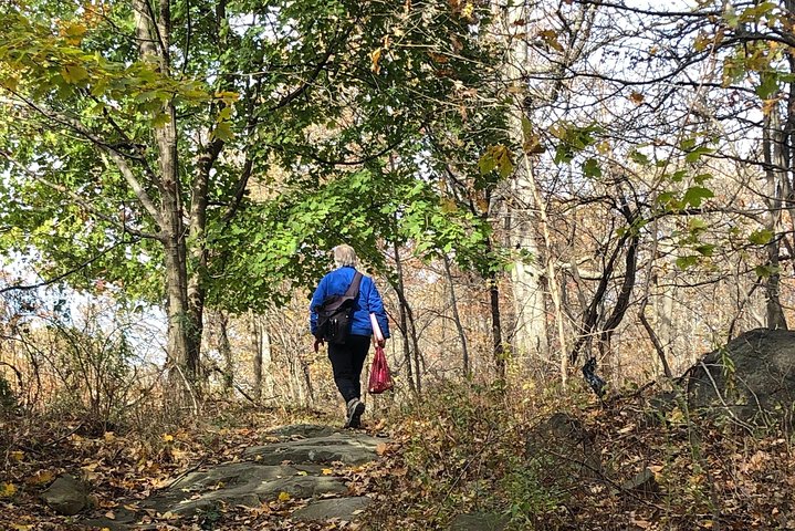 Walk The George Washington Bridge - And Hike The Palisades And View The Hudson! - thumb 2