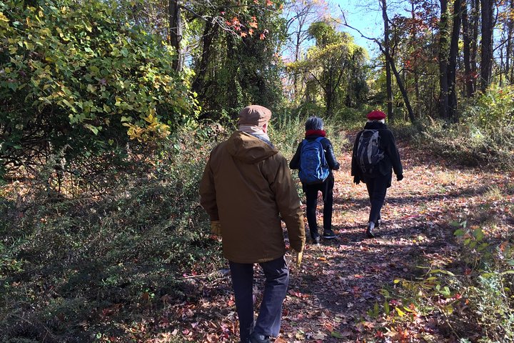 Walk The George Washington Bridge - And Hike The Palisades And View The Hudson! - thumb 5