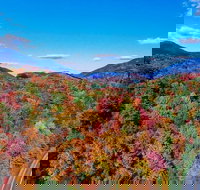 Adirondacks and Lake Placid Autumn Foliage Private VIP Boutique Day Trip - Accommodation Michigan