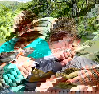 Full Day Float Trip - Accommodation Michigan