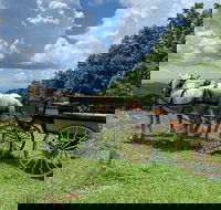 Horse and Carriage Ride through Moses H. Cone Park - Accommodation Michigan