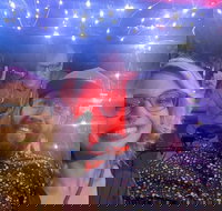 Private Pedicab Karaoke Cruising in Downtown Raleigh - Accommodation Michigan