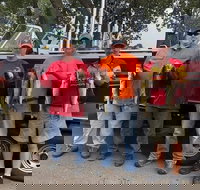 Lake Erie Walleye Fishing Charters - Accommodation Michigan