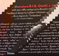 Rock and Roll Hall of Fame Admission in Cleveland - Accommodation Michigan