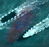 Private Hilton Head Sunset Boat Cruise Up to 14 Passengers - Accommodation Michigan