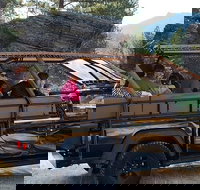 Jeep Bison Safari - Custer State Park - Accommodation Michigan