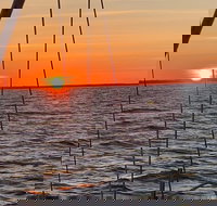 Private Hilton Head Sunset Sailing Tour with Dolphin Watching - Accommodation Michigan