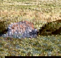 Private Tour - Badlands Delta 9 Missile Museum  Wall Drug - Accommodation Michigan