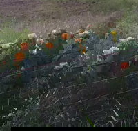 An Afternoon in LBJ Country Trolley Tour - Accommodation Michigan