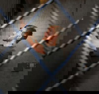 Chattanooga Secret Agent Escape Room Admission Ticket - Accommodation Michigan