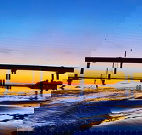 90 Minute Hilton Head Dolphin Tour - Accommodation Michigan