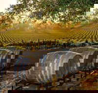 Fredericksburg Wine Tour with Three Winery Stops Plus Lunch - Accommodation Michigan