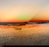 Private Hilton Head Sunset Dolphin Tour - Accommodation Michigan