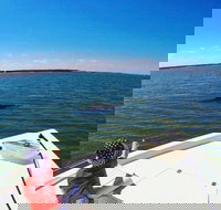 Private Hilton Head Dolphin Watching Tour with Waterfront Dining Stops - Accommodation Michigan